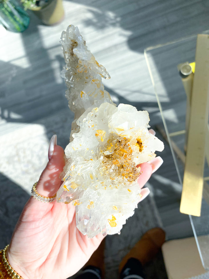 Sea Lion Iron Coated Quartz with Siderite Cluster #7