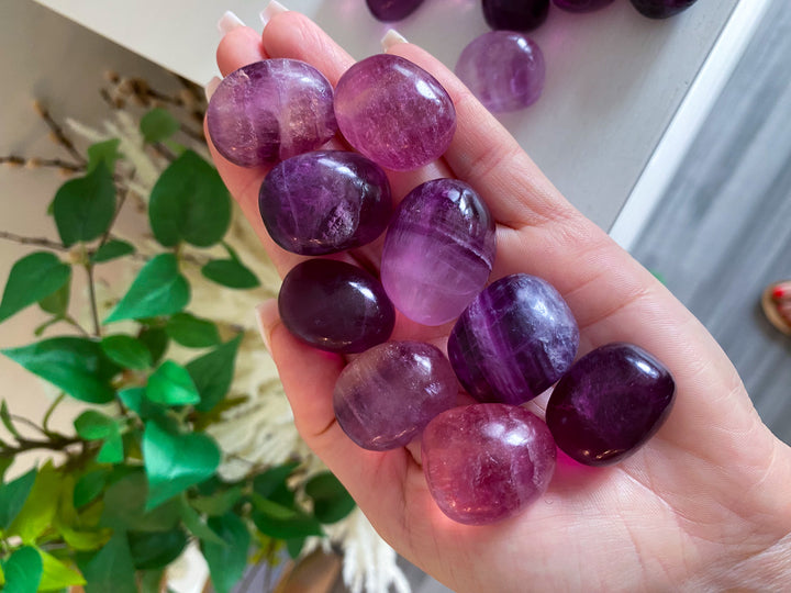 Purple Fluorite Tumble