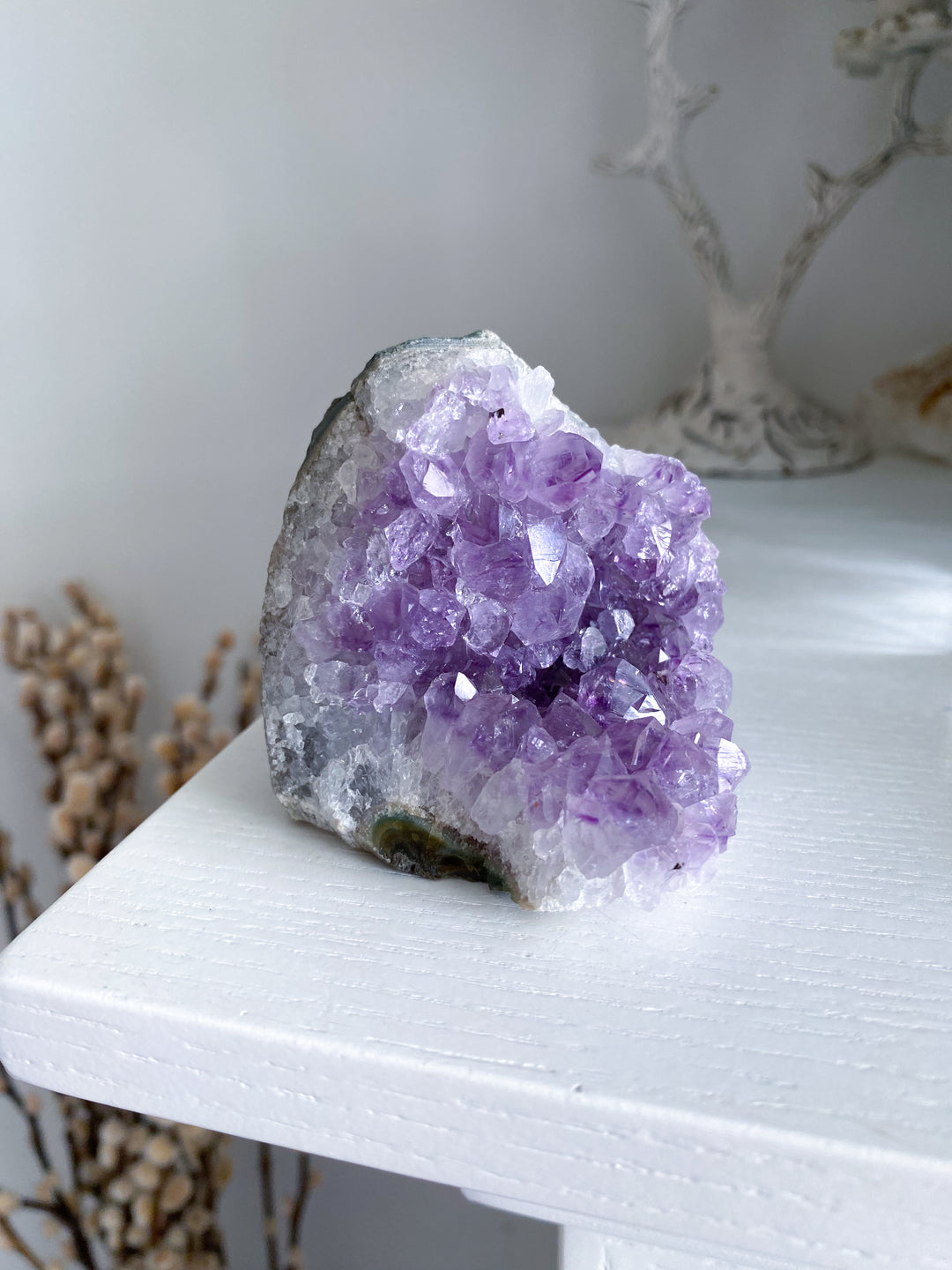 Unique Amethyst Cluster #2