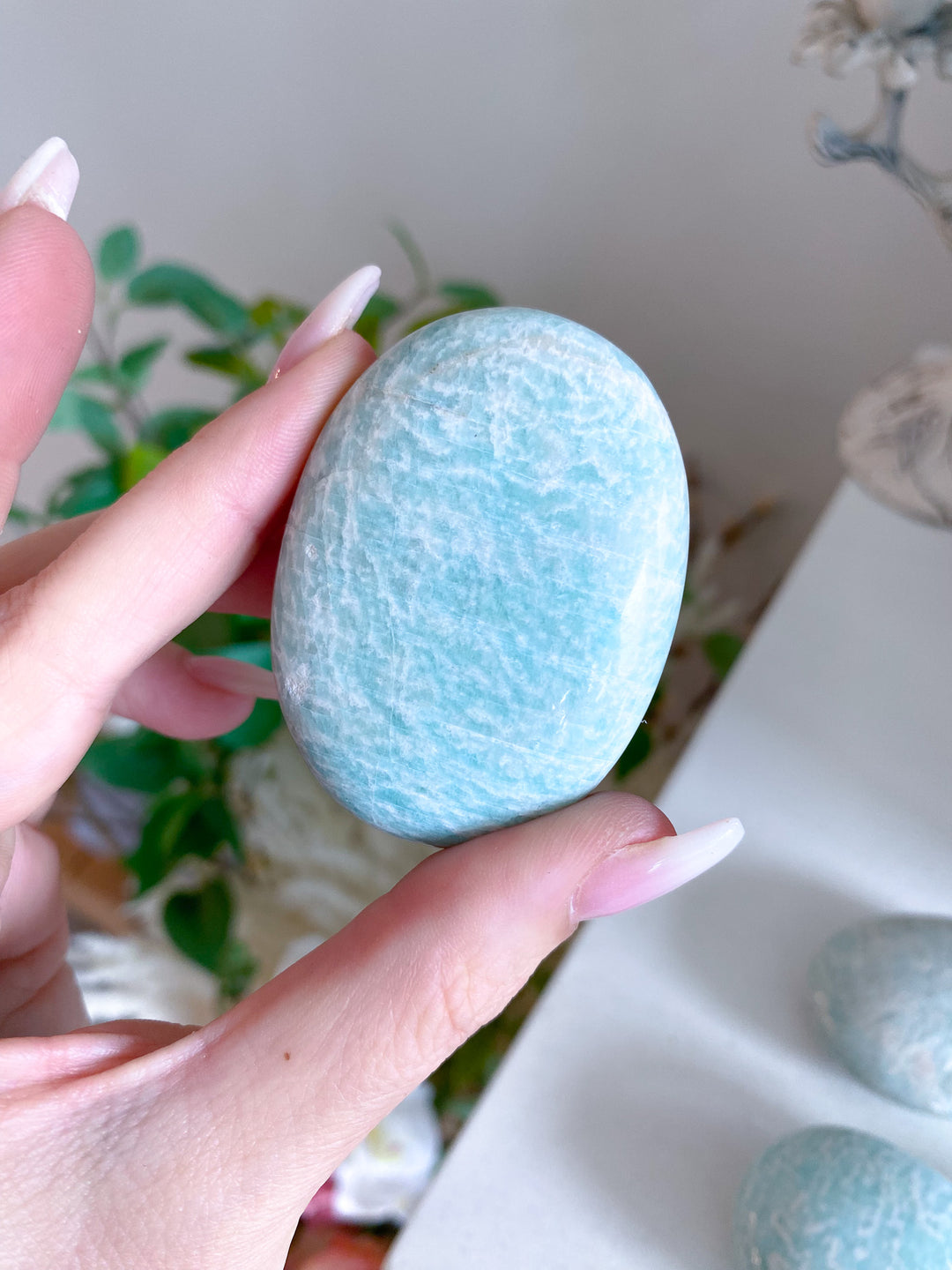 Amazonite Palm