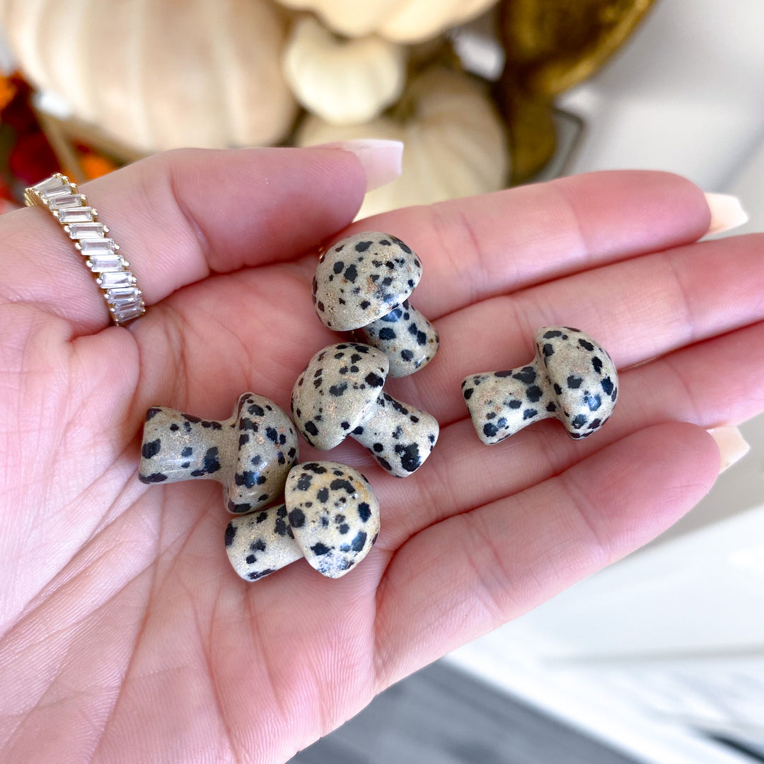 Dalmatian Jasper Mini Mushroom