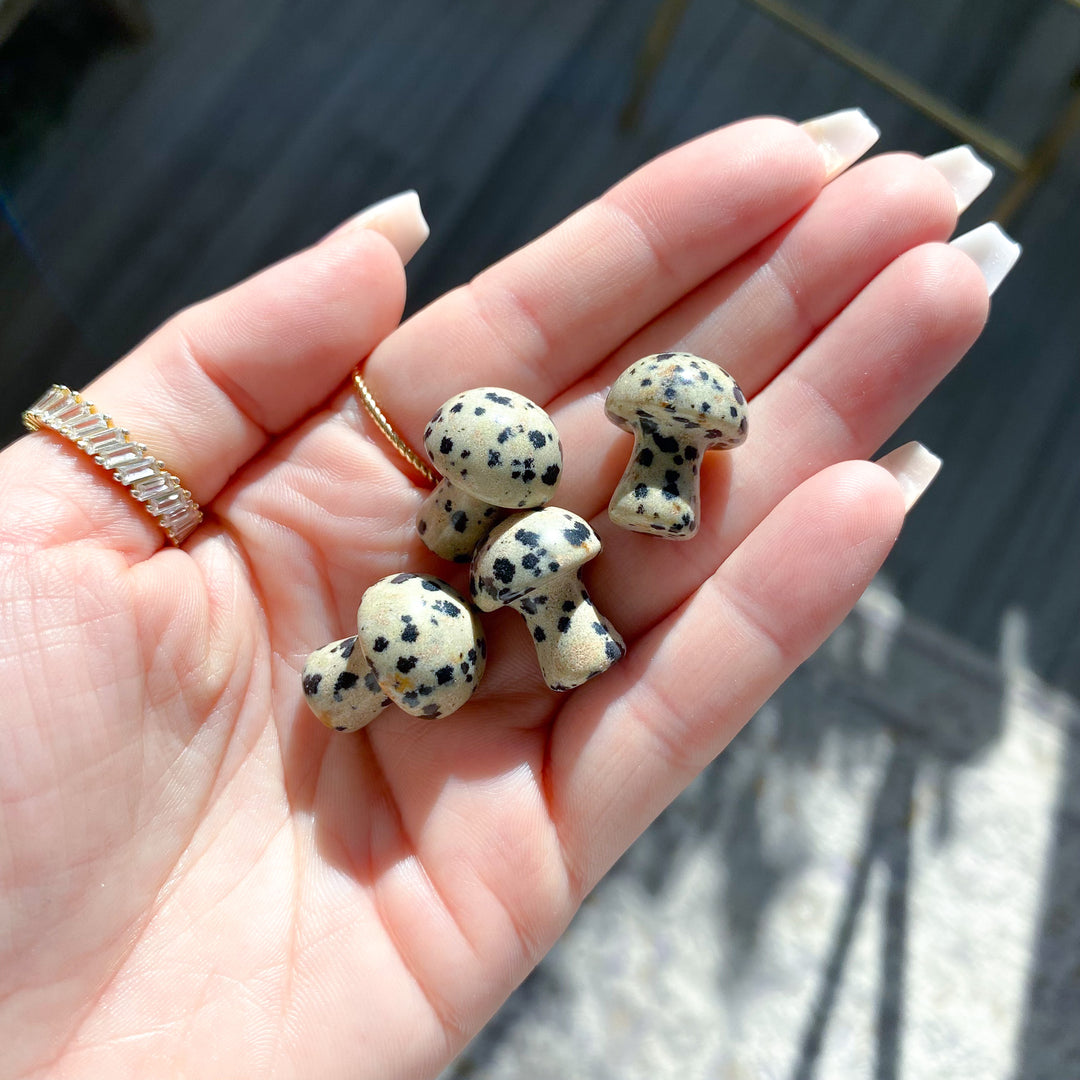 Dalmatian Jasper Mini Mushroom