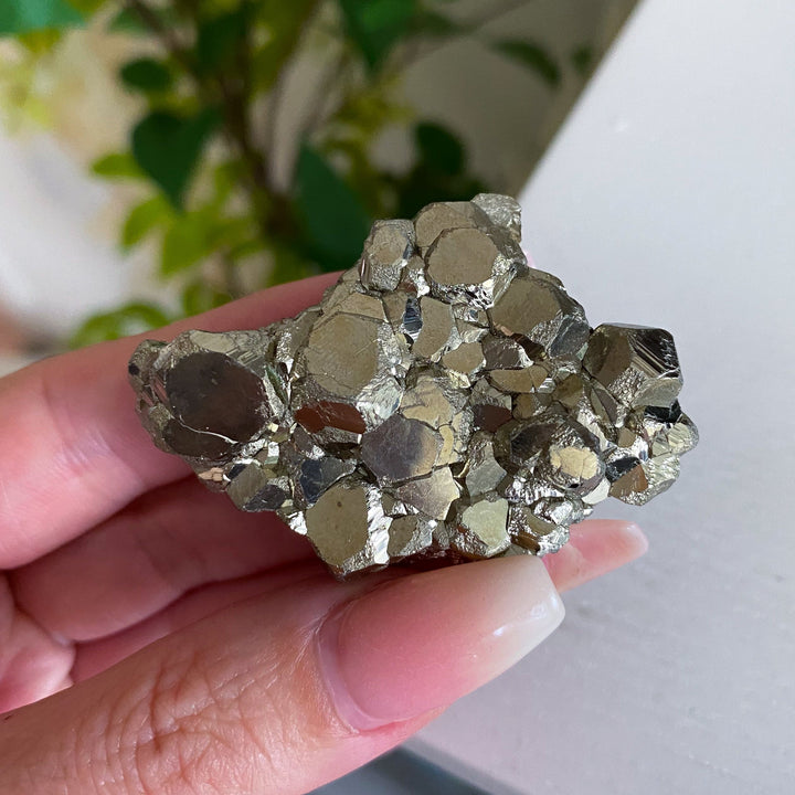 Shiny, Unique Pyrite Cluster #1