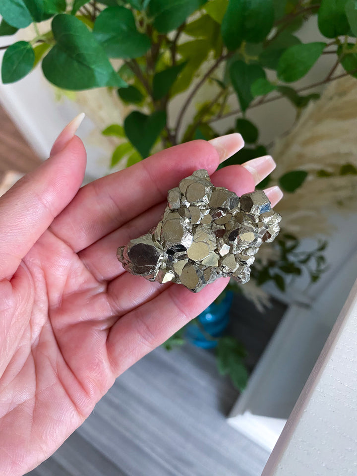 Shiny, Unique Pyrite Cluster #1