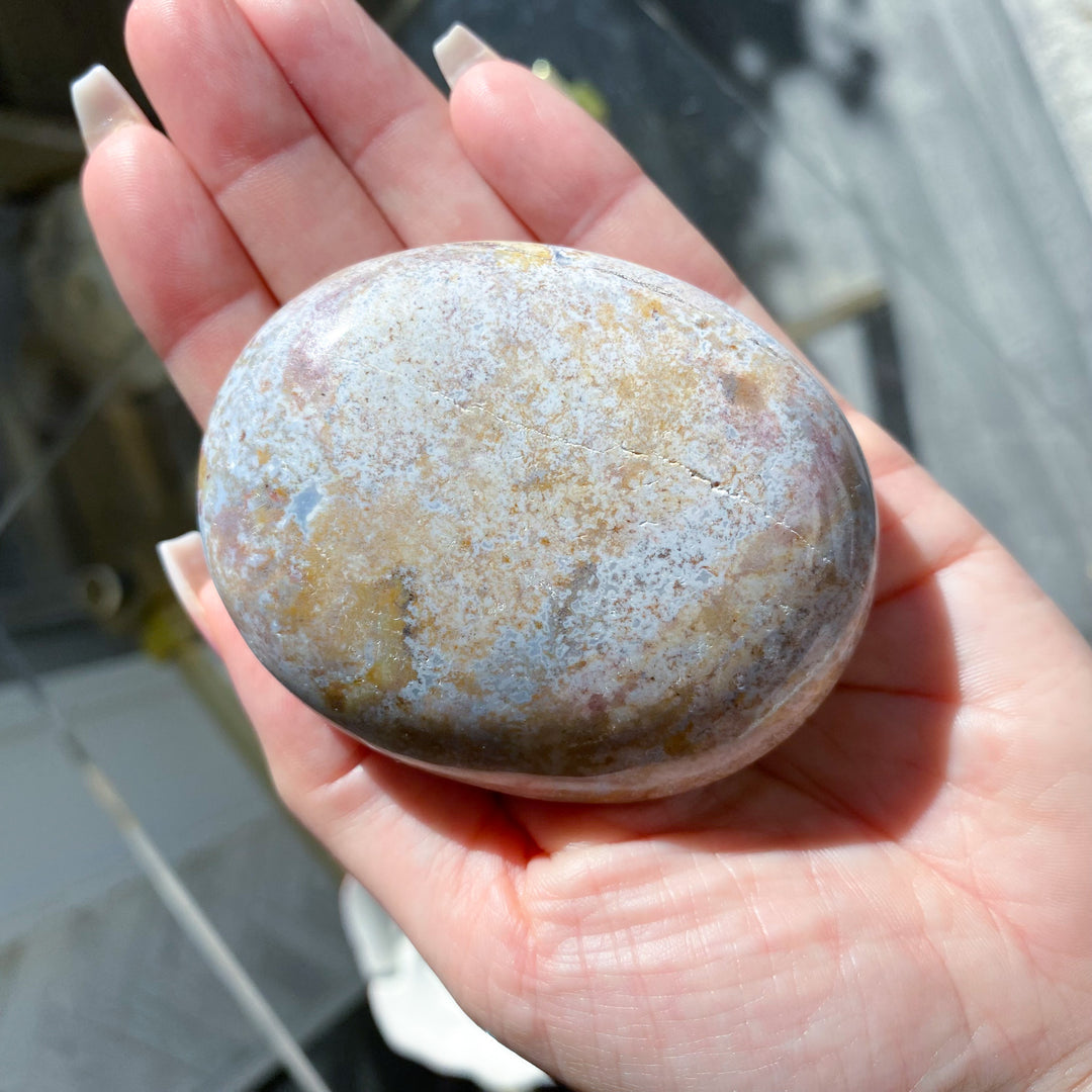 Jumbo Unicorn Jasper Palm Stone 