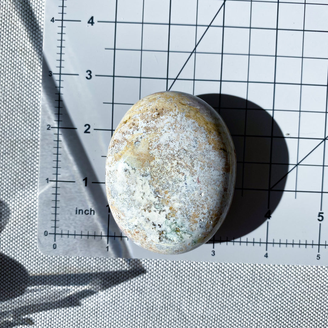 Jumbo Unicorn Jasper Palm Stone 