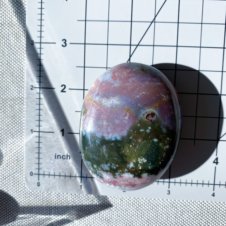 Jumbo Unicorn Jasper Palm Stone 