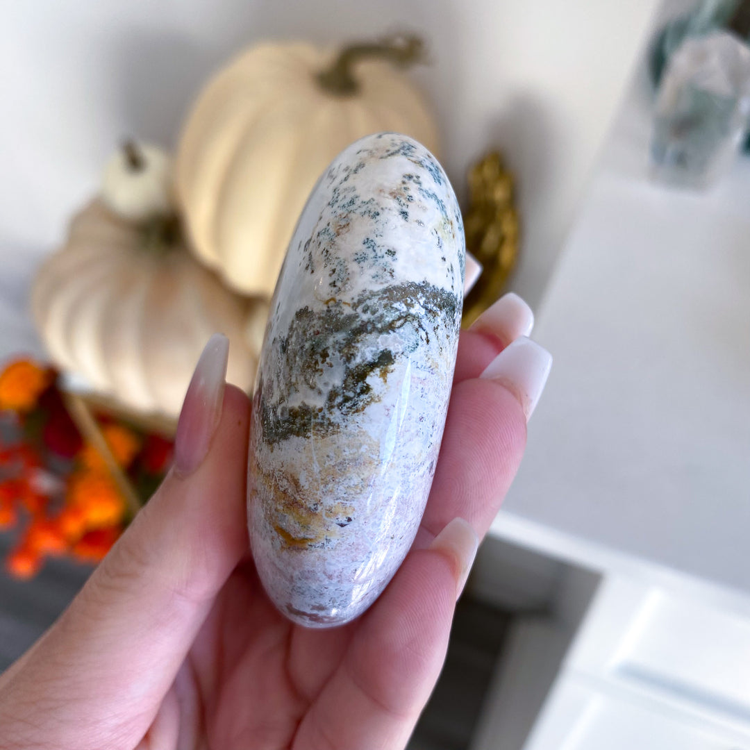 Jumbo Unicorn Jasper Palm Stone 