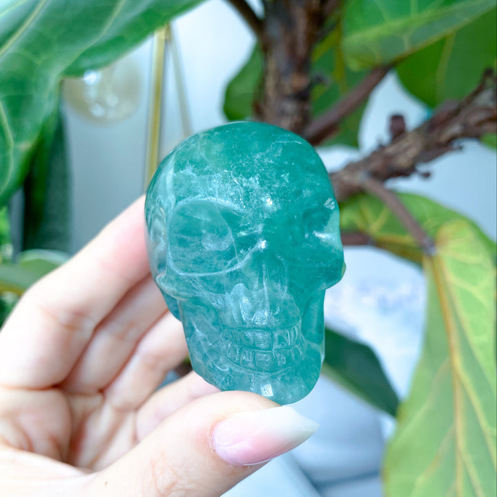 Green Fluorite Skull - Get Exact Piece