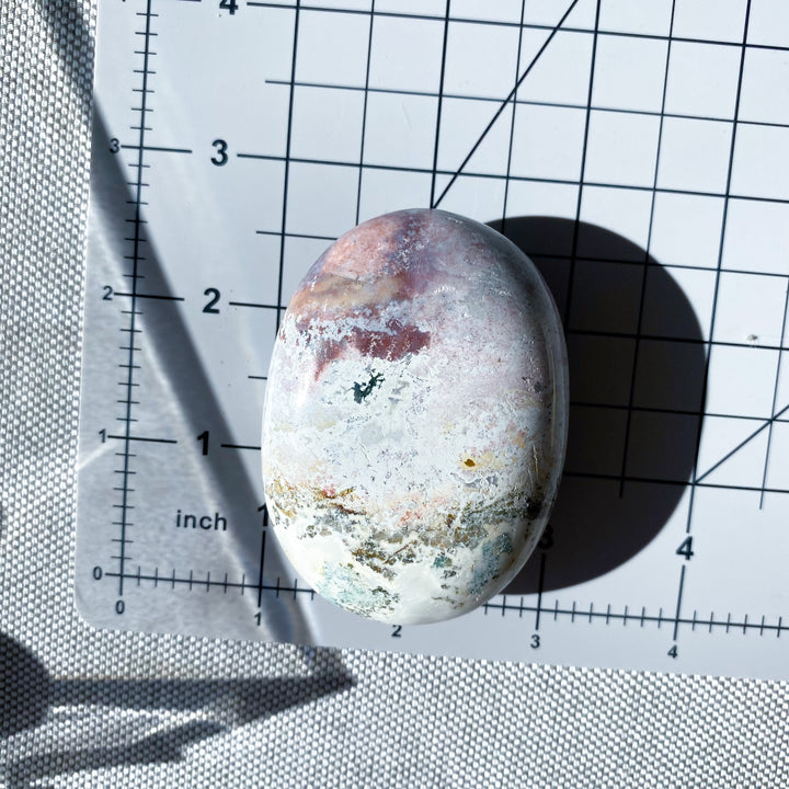 Jumbo Unicorn Jasper Palm Stone 