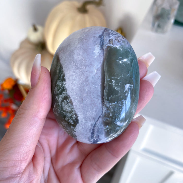 Jumbo Unicorn Jasper Palm Stone 