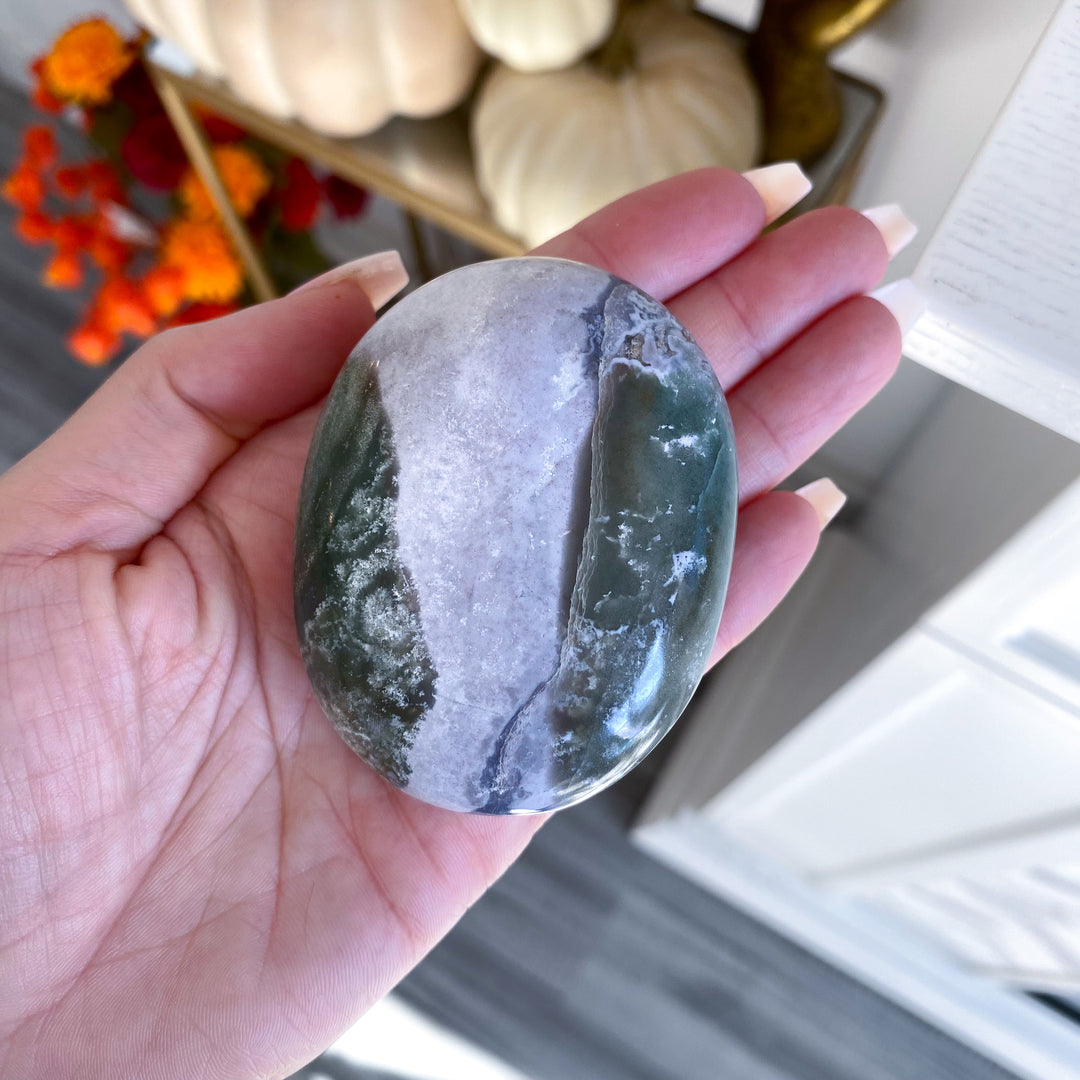 Jumbo Unicorn Jasper Palm Stone 