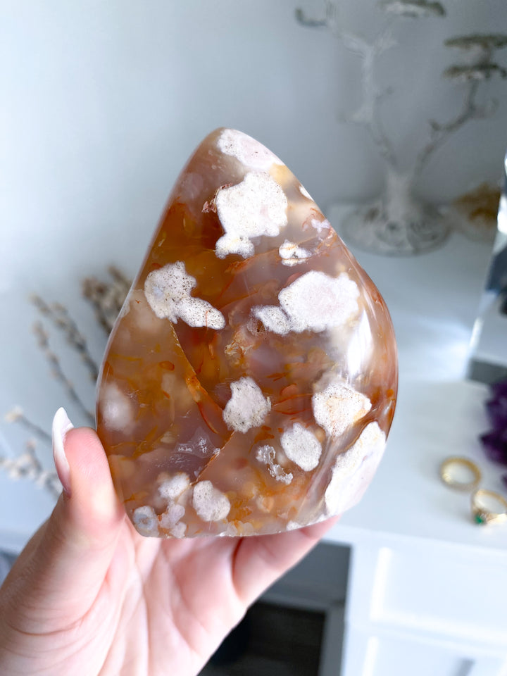 Red Flower Agate Freeform #3