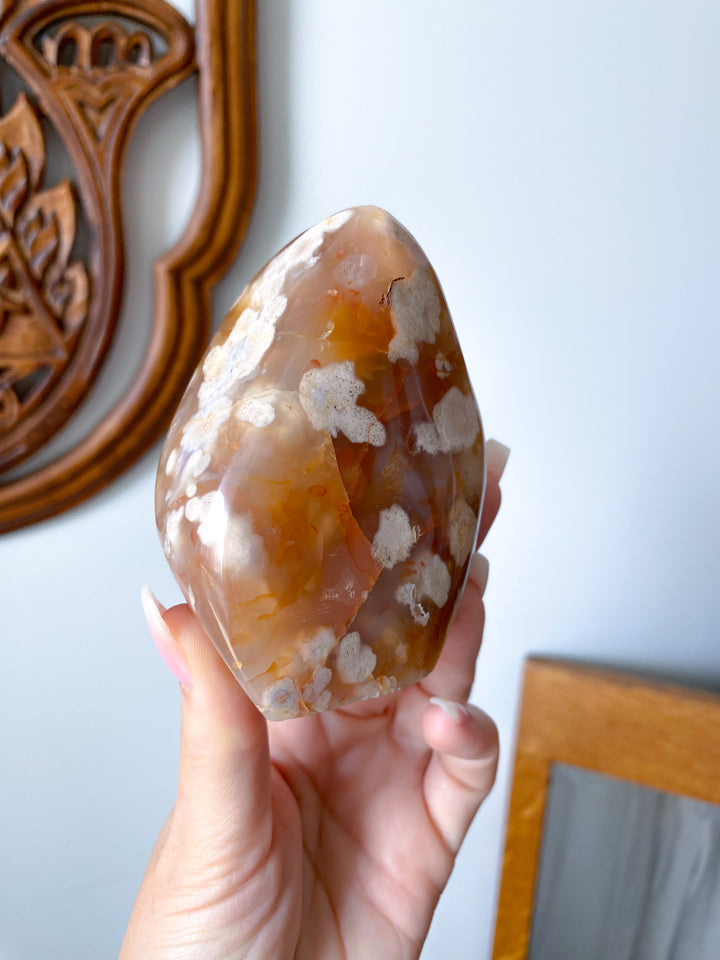 Red Flower Agate Freeform #3