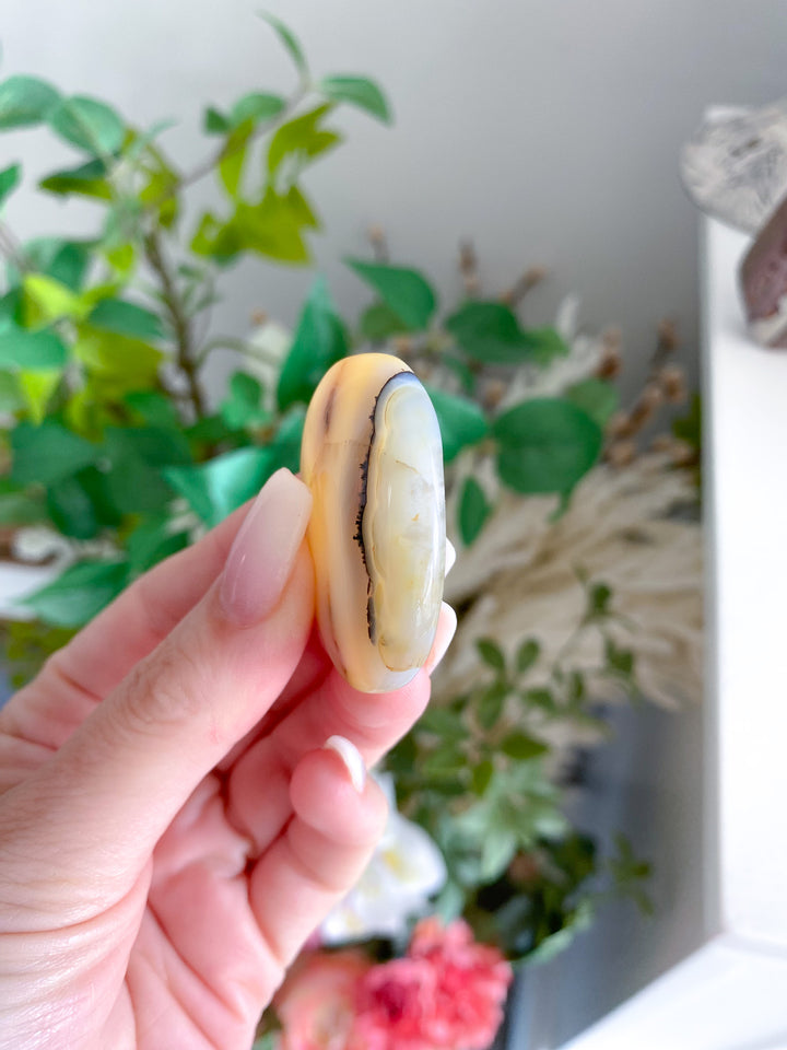 Unique Drusy Dendritic Agate Worry Stone 