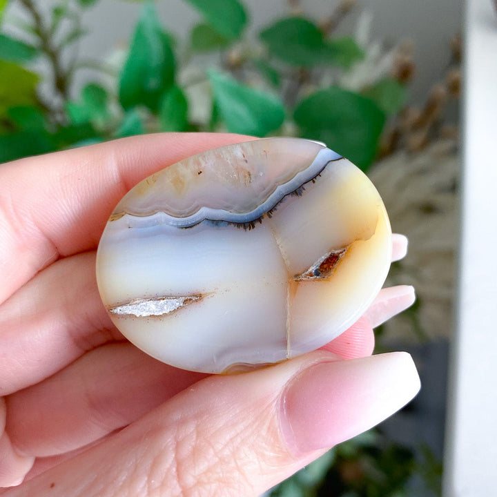 Unique Drusy Dendritic Agate Worry Stone 