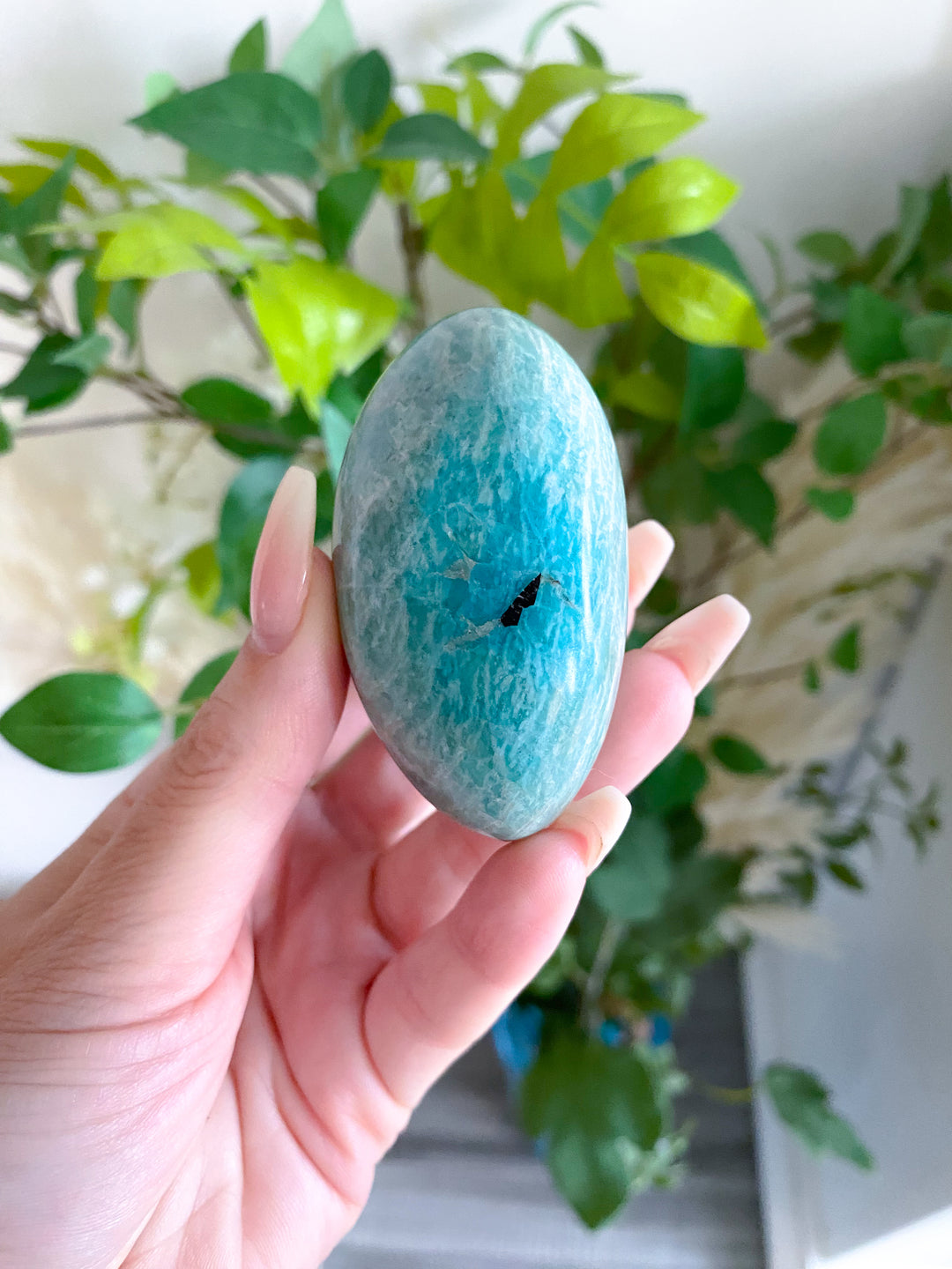 Amazonite Palm - Get this EXACT Piece