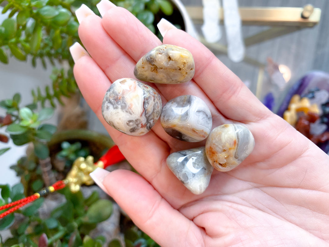 LAUGH with Crazy Lace Agate Tumble Stone