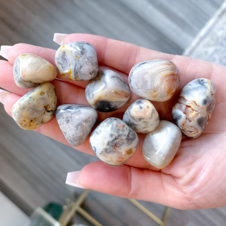 LAUGH with Crazy Lace Agate Tumble Stone