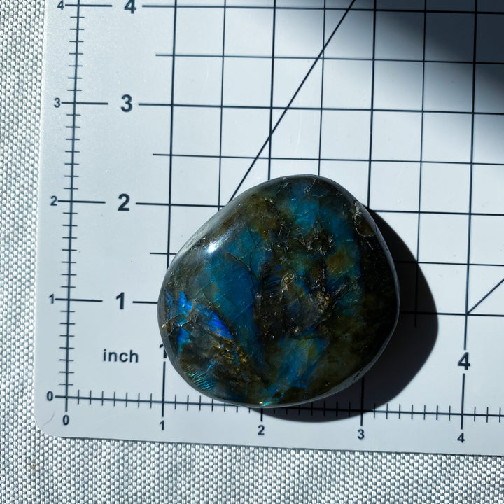 Round Flashy Labradorite Palm Stone 