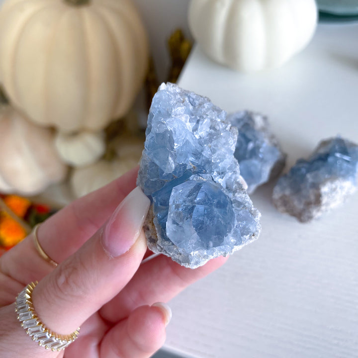 Small Celestite Cluster - Choose Your Piece