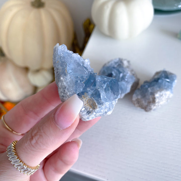 Small Celestite Cluster - Choose Your Piece