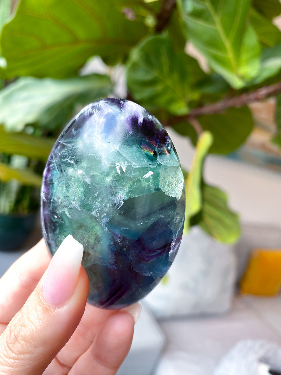 Beautiful Rainbow Fluorite Palm #1 - Feathered, Blue