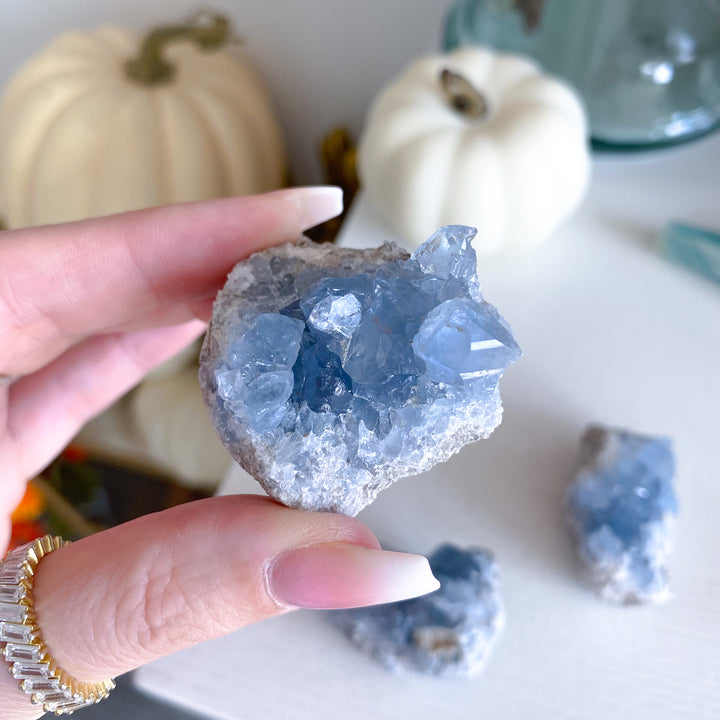 Small Celestite Cluster - Choose Your Piece