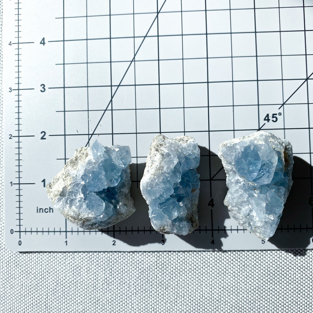Small Celestite Cluster - Choose Your Piece