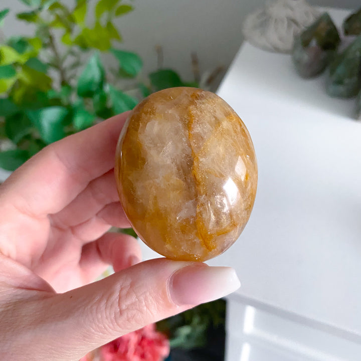 Gentle Golden Healer Palm 