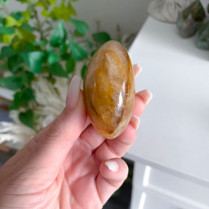 Gentle Golden Healer Palm 