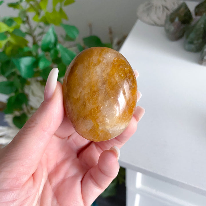Gentle Golden Healer Palm 