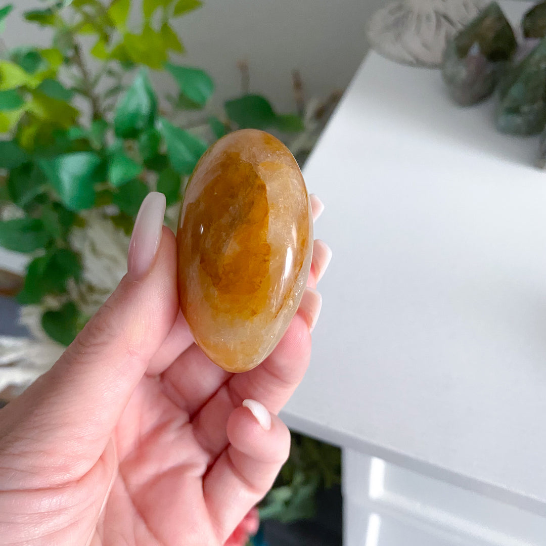 Gentle Golden Healer Palm 