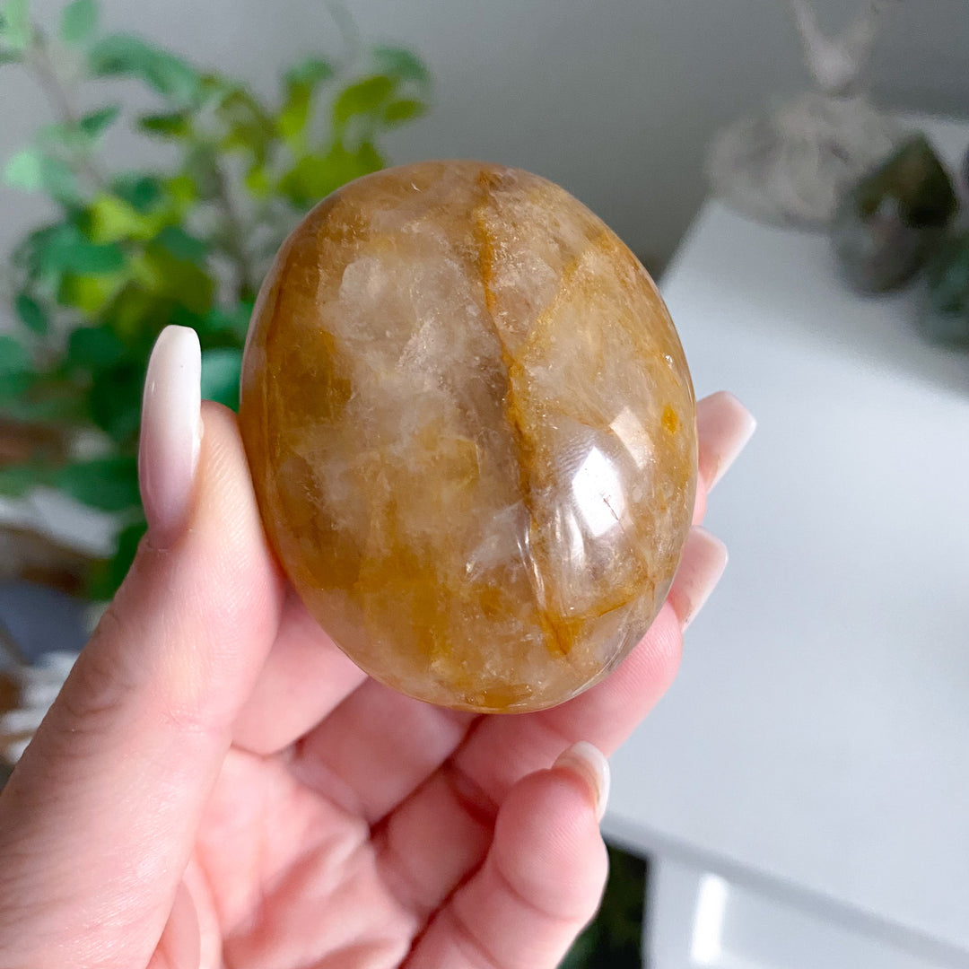 Gentle Golden Healer Palm 