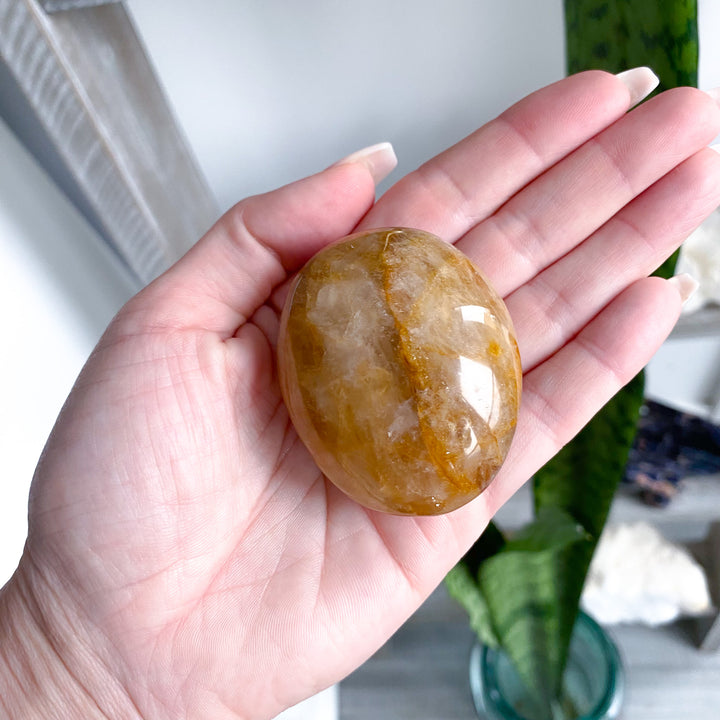 Gentle Golden Healer Palm 