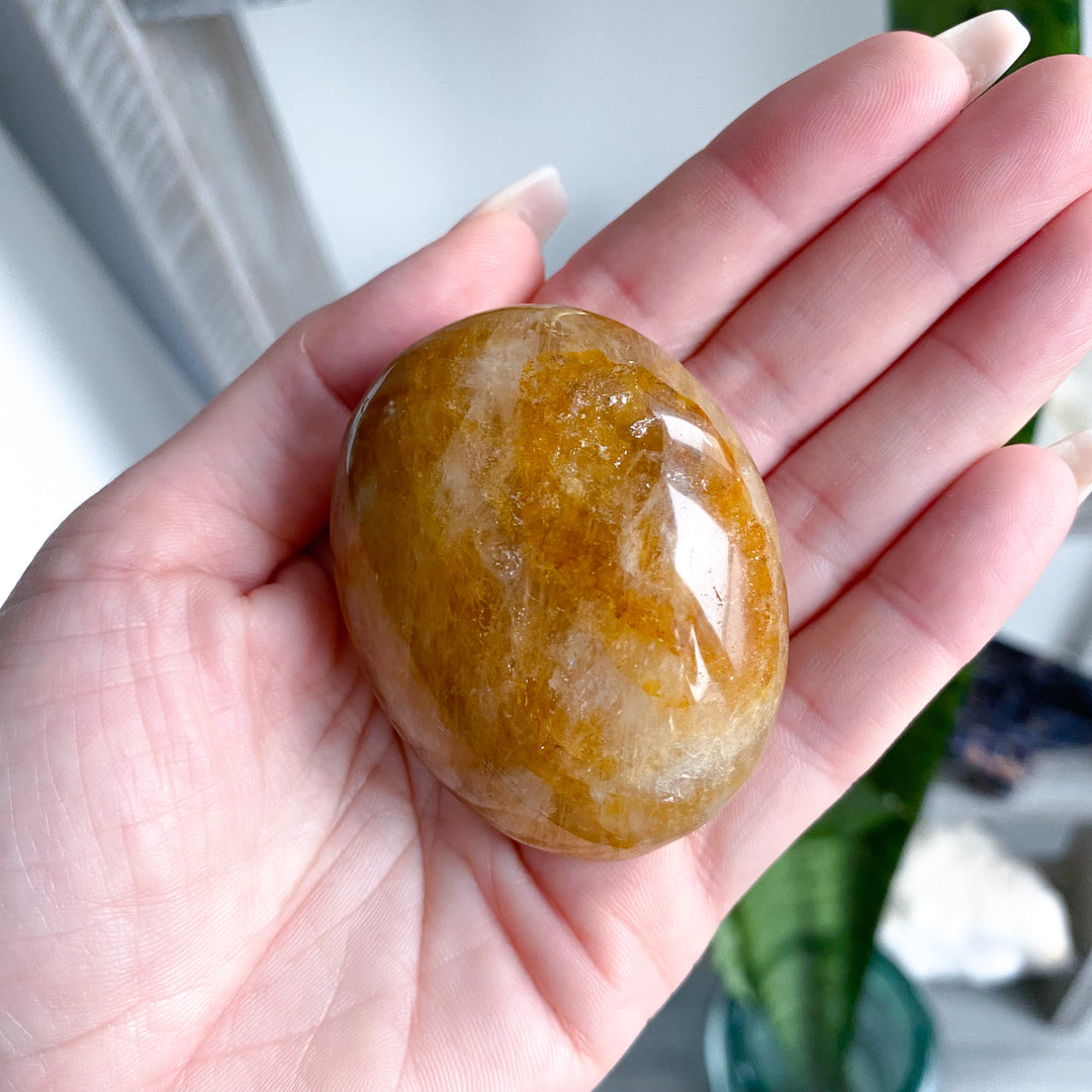 Gentle Golden Healer Palm 
