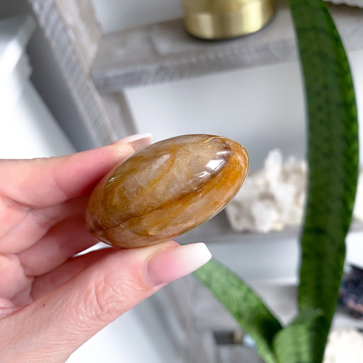 Gentle Golden Healer Palm 
