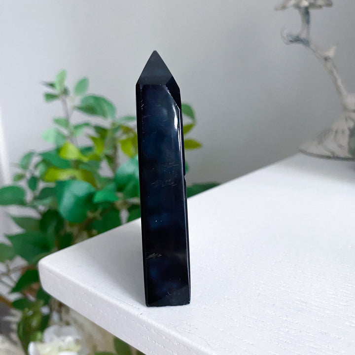 Midnight Black Agate Slice 