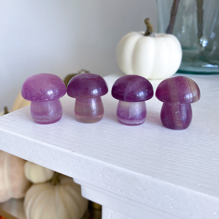 Small Purple Fluorite Mushroom