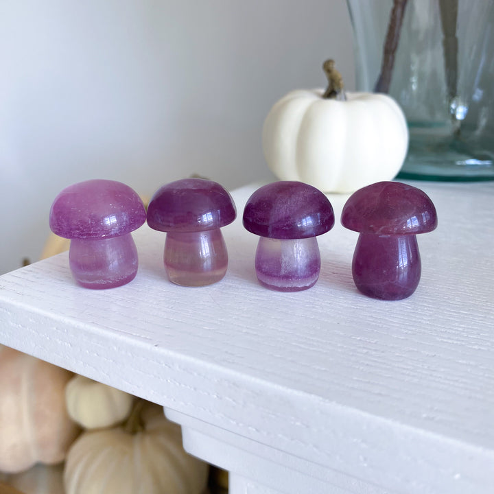 Small Purple Fluorite Mushroom