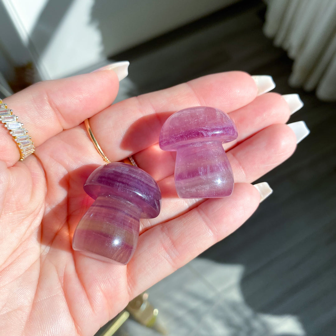 Small Purple Fluorite Mushroom