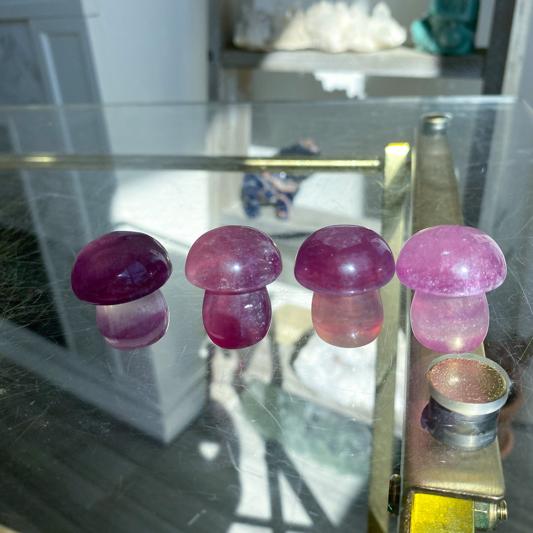 Small Purple Fluorite Mushroom