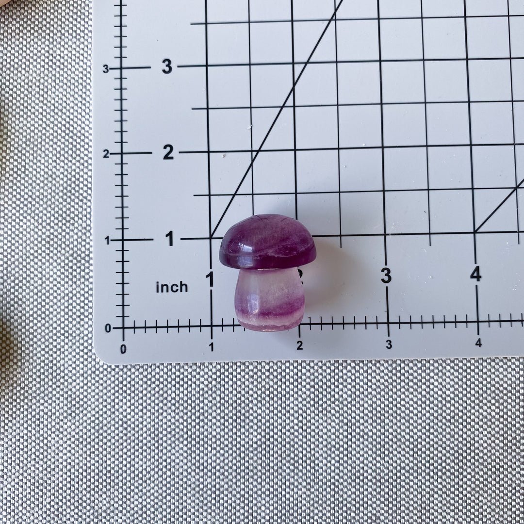 Small Purple Fluorite Mushroom