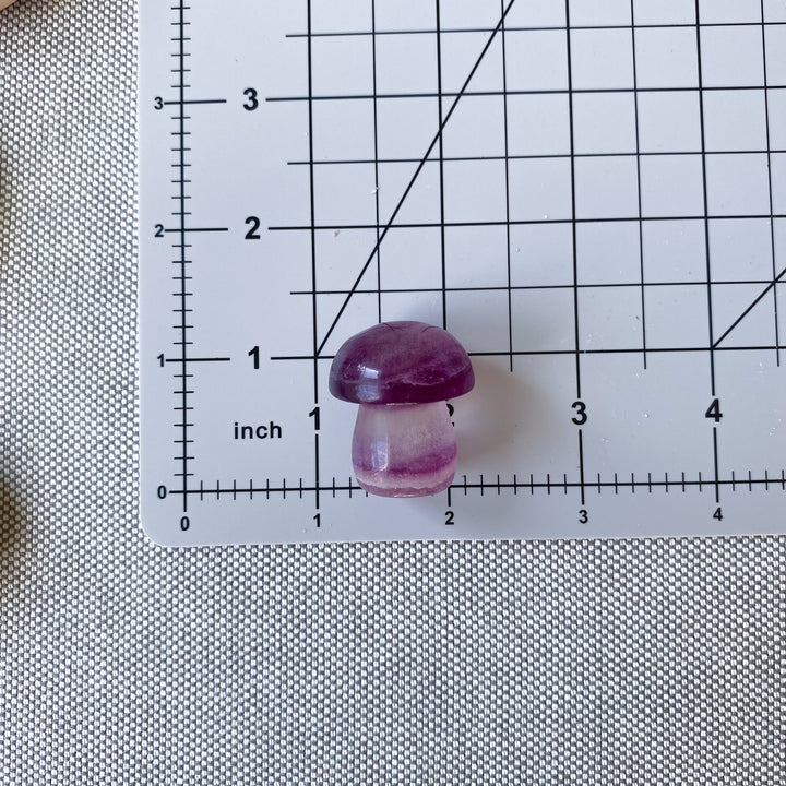 Small Purple Fluorite Mushroom