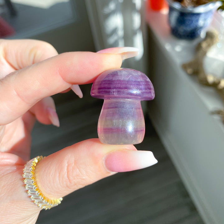 Small Purple Fluorite Mushroom