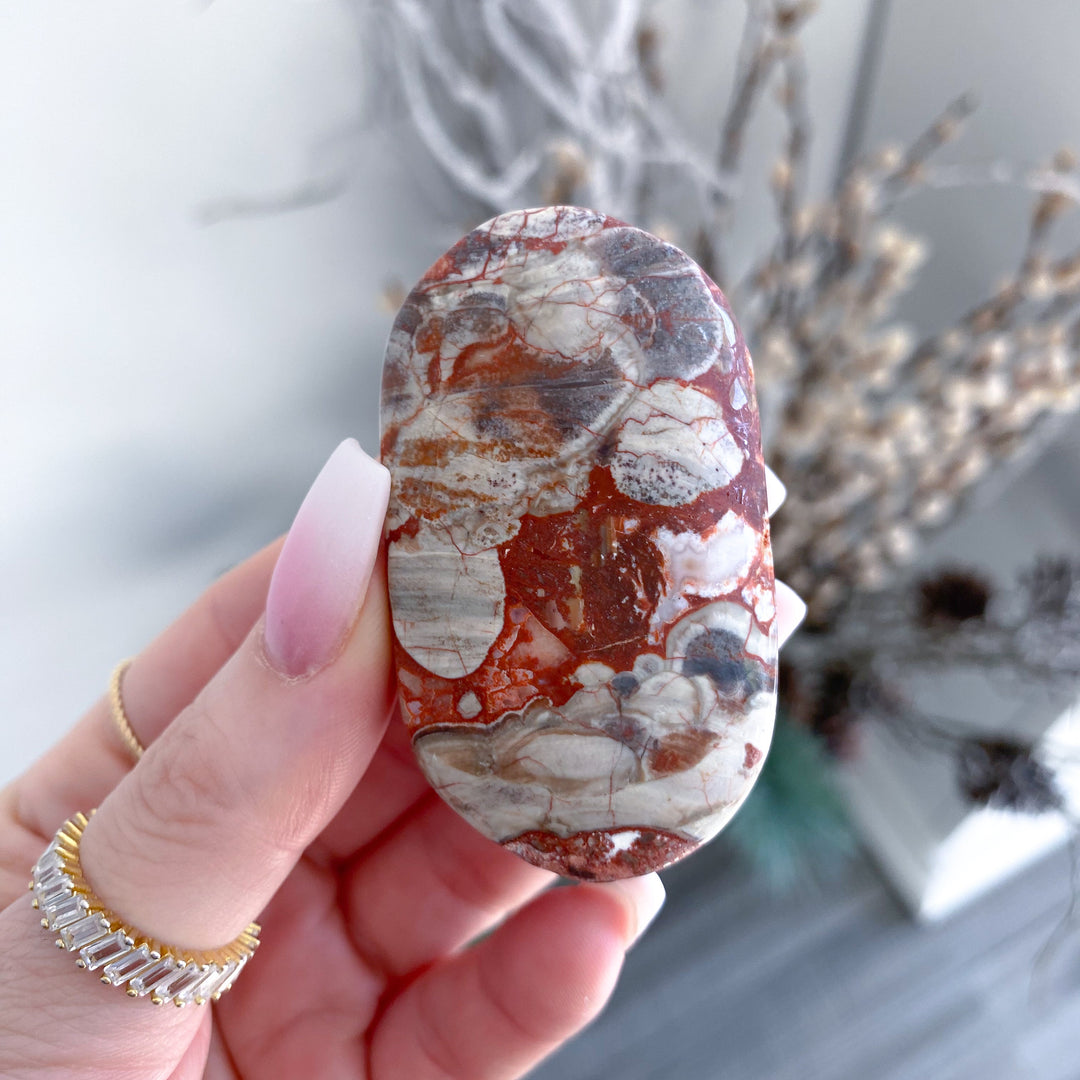 Large Money Agate Indonesian Bloodstone Palm Stone 