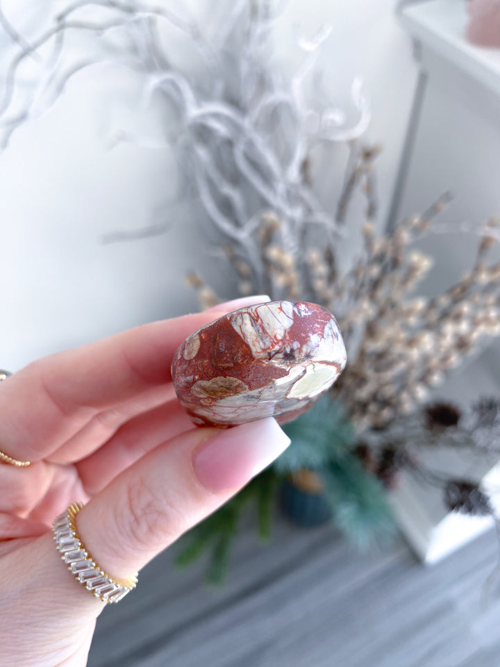 Large Money Agate Indonesian Bloodstone Palm Stone 