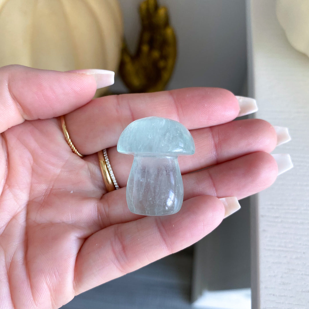 Small Green Fluorite Mushroom 