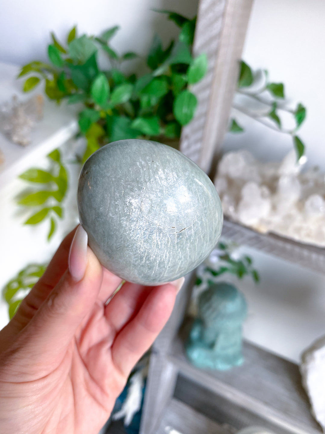 Round Amazonite Palm #2 w/ Sheen