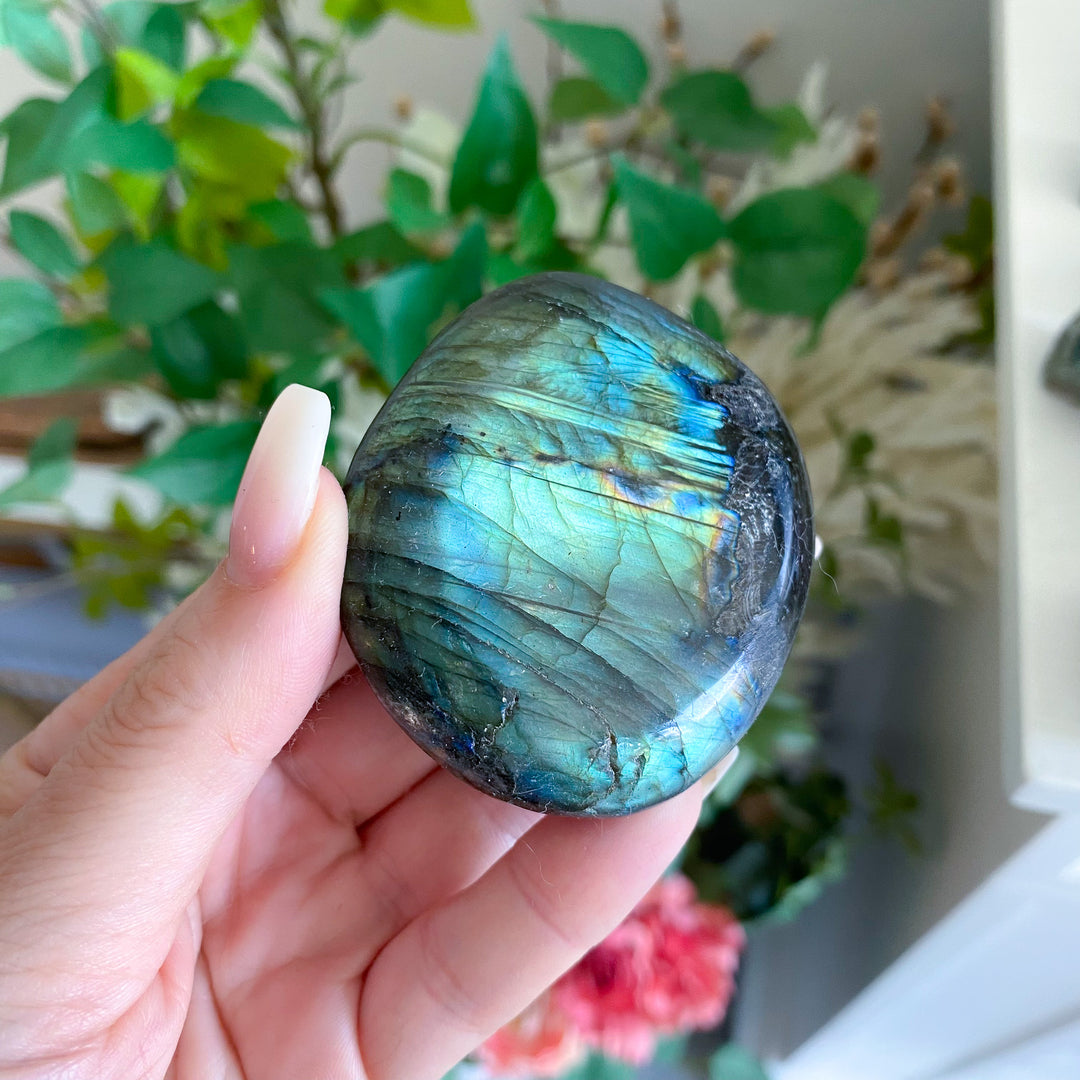 Tiger Blood Labradorite Palm 